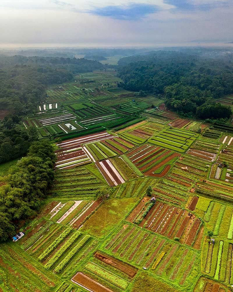 ESTUDIOS MEDIOAMBIENTALES ESTUDIOS MEDIOAMBIENTALES
