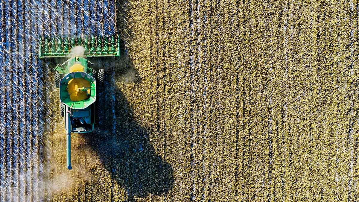 Empresa de ingenieros agrónomos